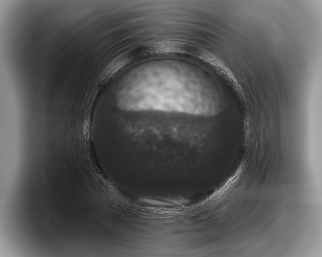 X0000097890785200803211354