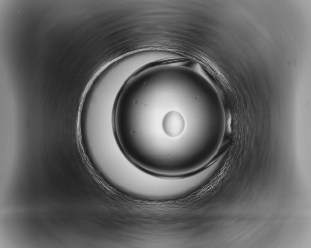 X0000097890788200803211354