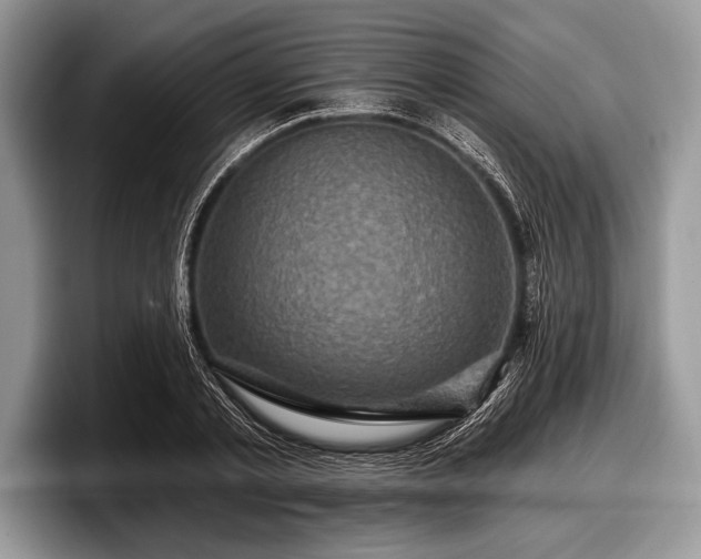 X0000097890789200803211354