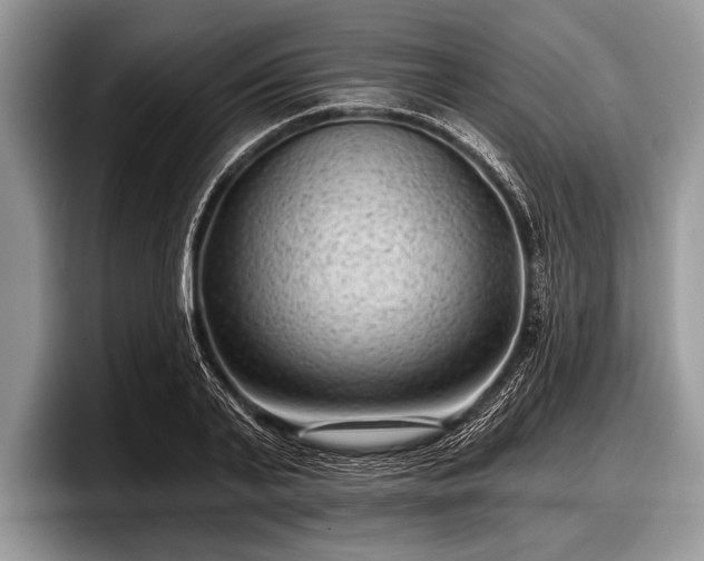 X0000097890791200803211354