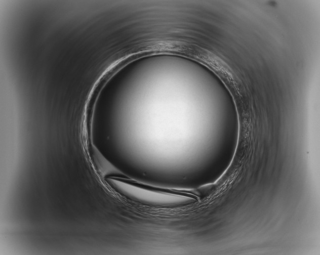 X0000097890792200803211354