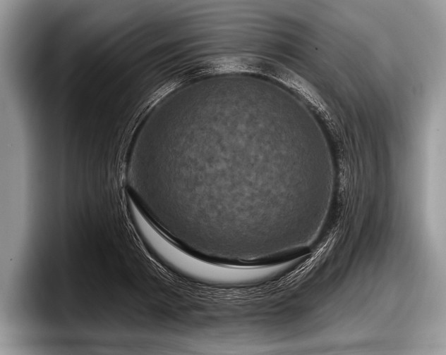 X0000097890793200803211354