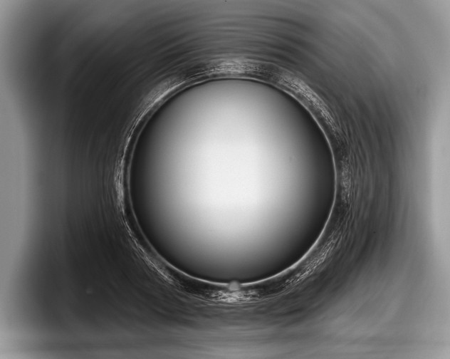 X0000097890794200803211354