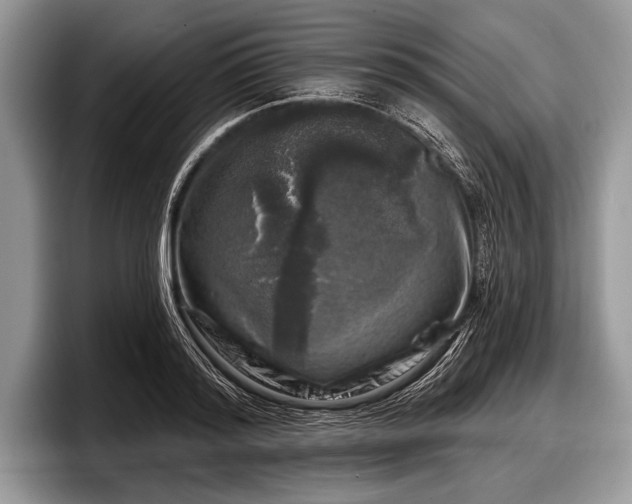 X0000097890796200803211354