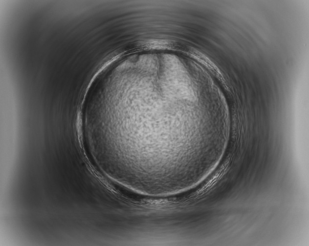 X0000097890798200803211354