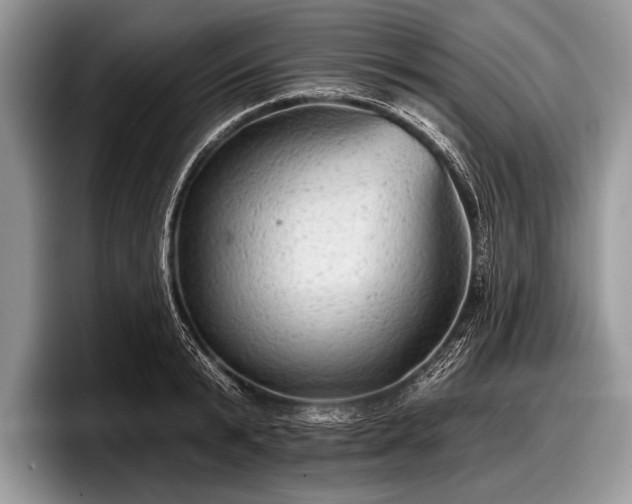 X0000097890799200803211354