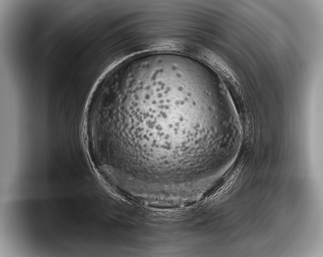 X0000097890800200803211354