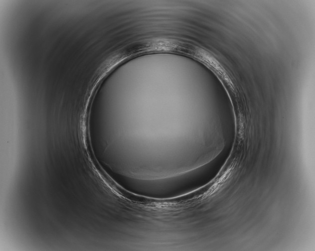 X0000097890802200803211354