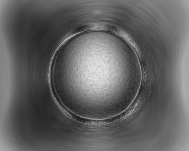 X0000097890803200803211354