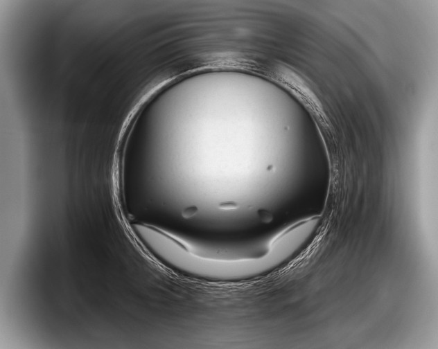 X0000097890804200803211354