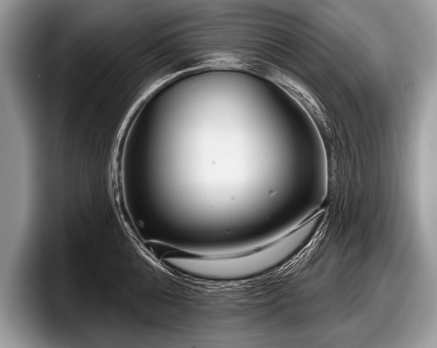 X0000097890808200803211354