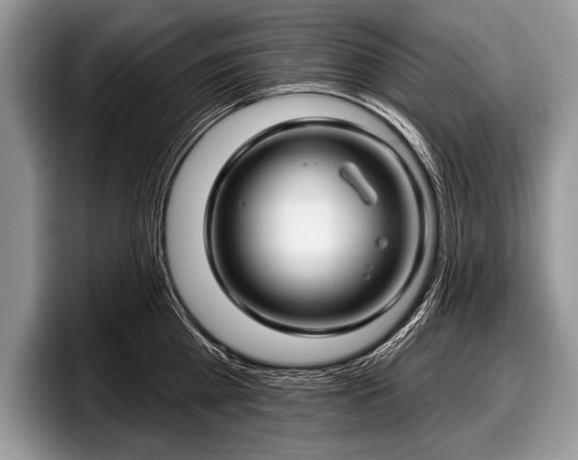 X0000097890809200803211354