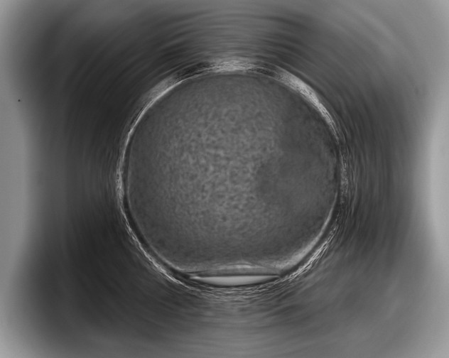 X0000097890810200803211354