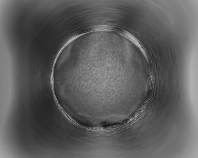 X0000097890811200803211354