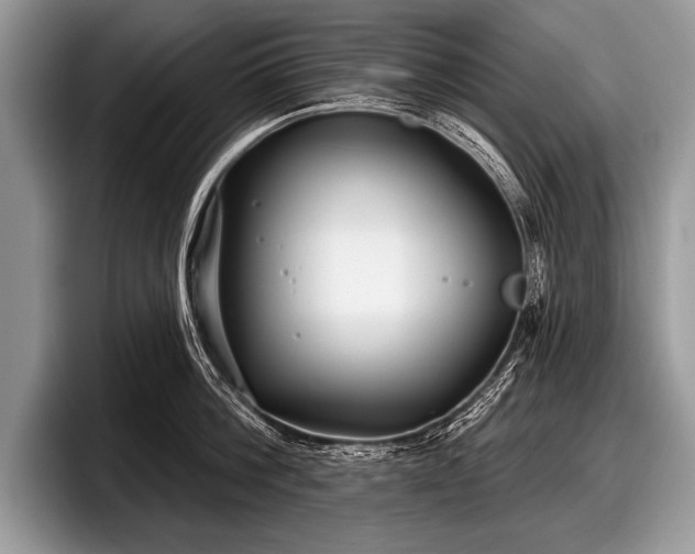 X0000097890812200803211354