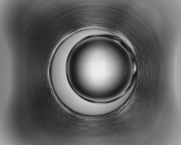 X0000097890813200803211354