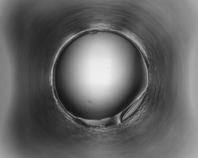 X0000097890815200803211354