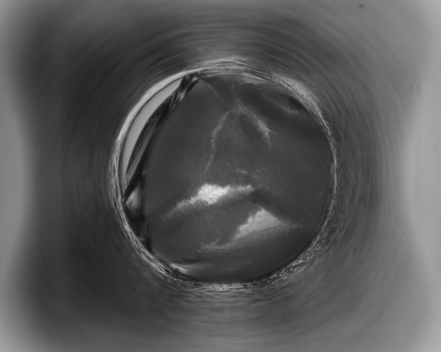 X0000097890816200803211354