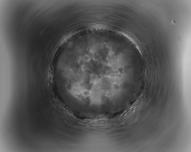 X0000097890823200803211353