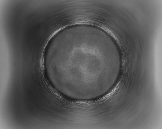 X0000097890830200803211354