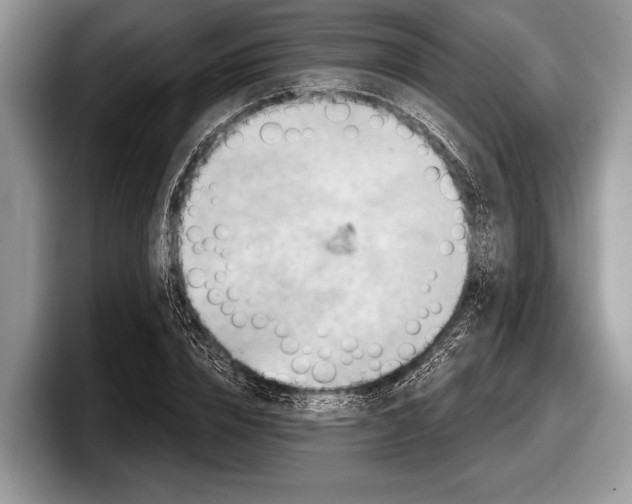 X0000097890832200803211354