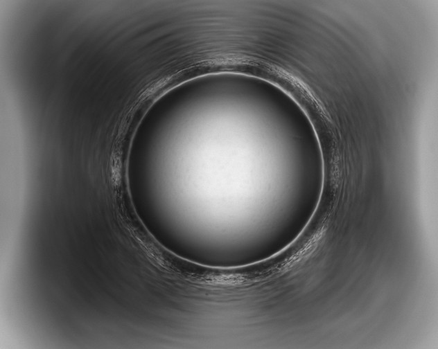 X0000097890833200803211354