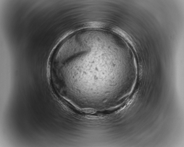 X0000097890835200803211354