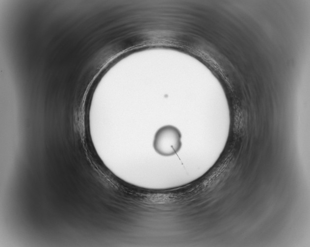 X0000097890836200803211354