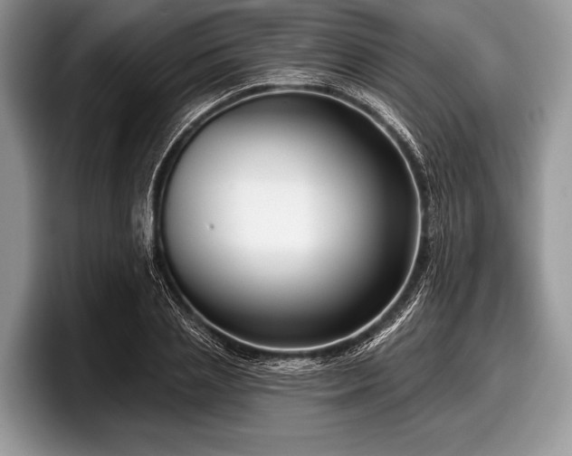 X0000097890837200803211354