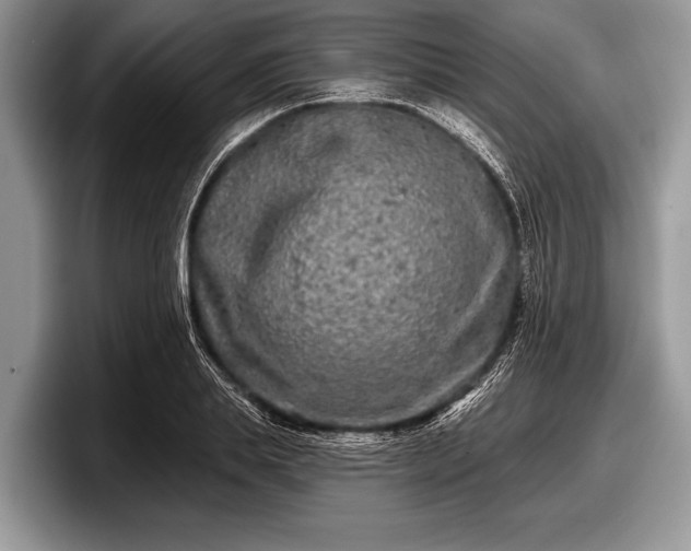 X0000097890839200803211354