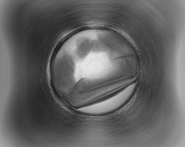 X0000097890840200803211354