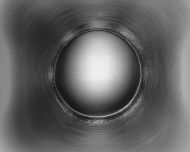 X0000097890841200803211354