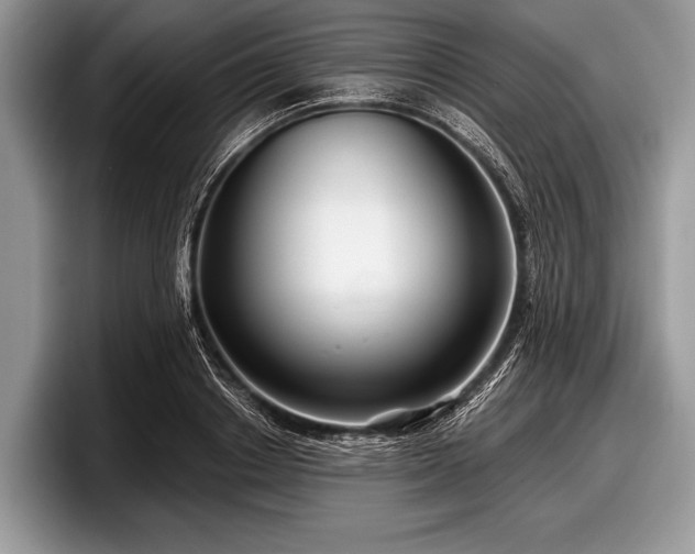 X0000097890842200803211354