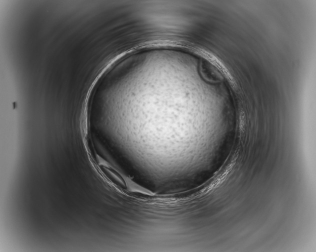 X0000097890844200803211354