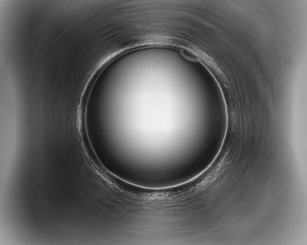 X0000097890846200803211354