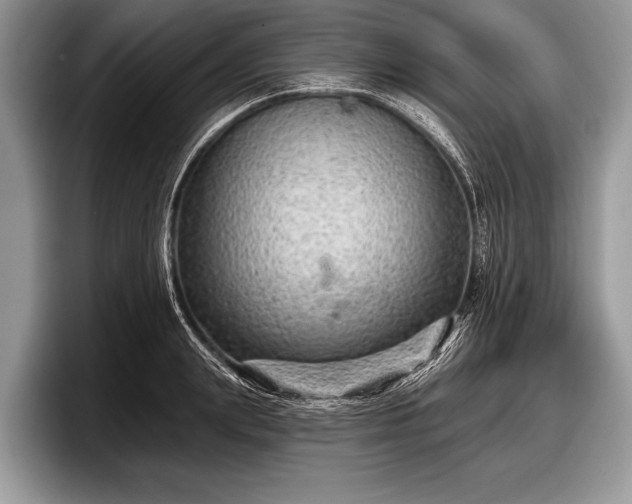 X0000097890847200803211354