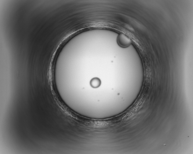 X0000097890848200803211354