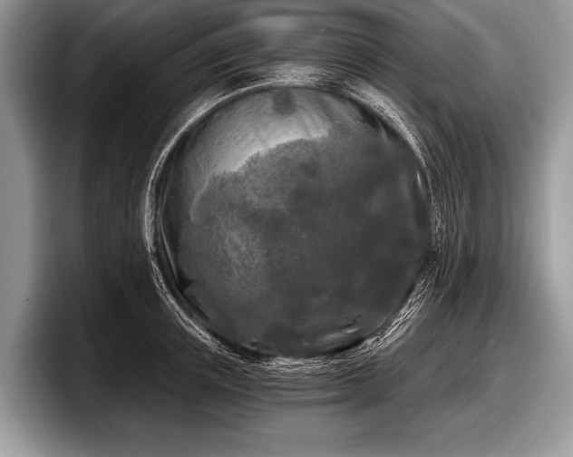 X0000097890851200803211354