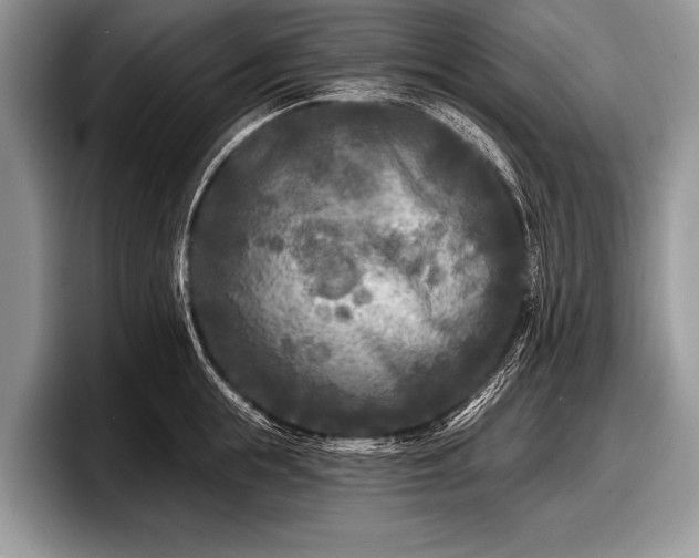 X0000097890855200803211354