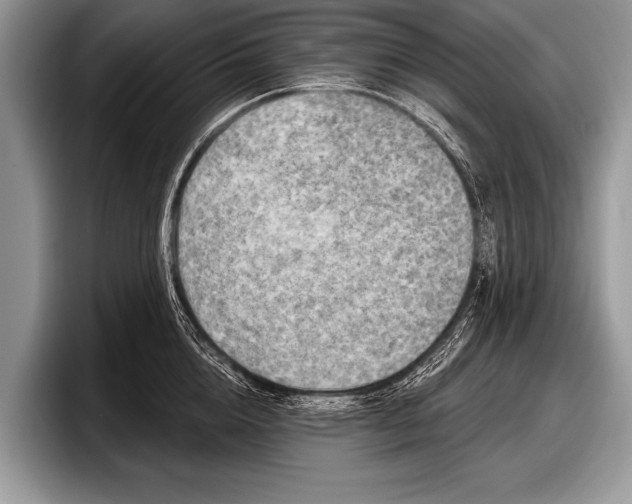 X0000097890856200803211354