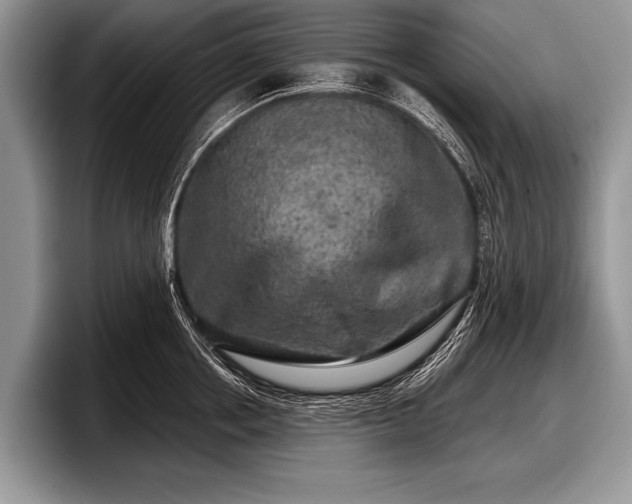 X0000097890858200803211354