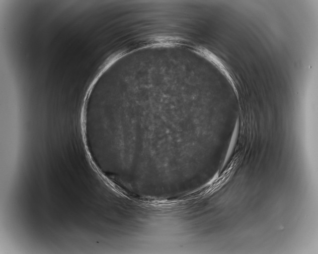 X0000097890859200803211354