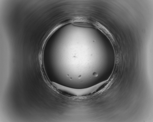 X0000097890860200803211354