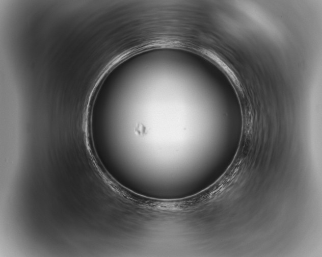 X0000097890861200803211354