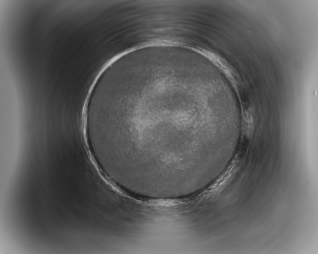 X0000097890862200803211354