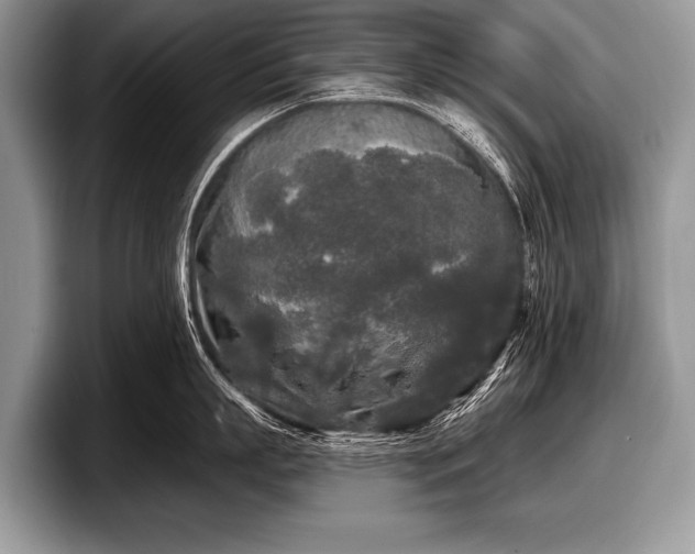 X0000097890863200803211354