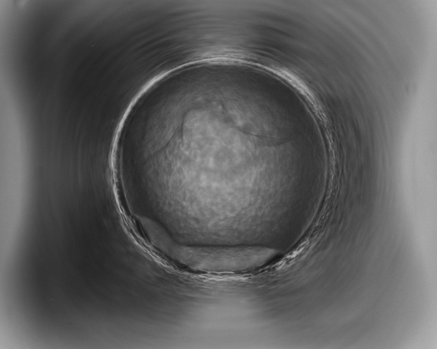 X0000097890864200803211354