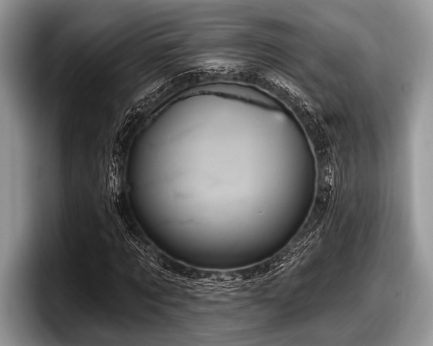 X0000097890869200803211353