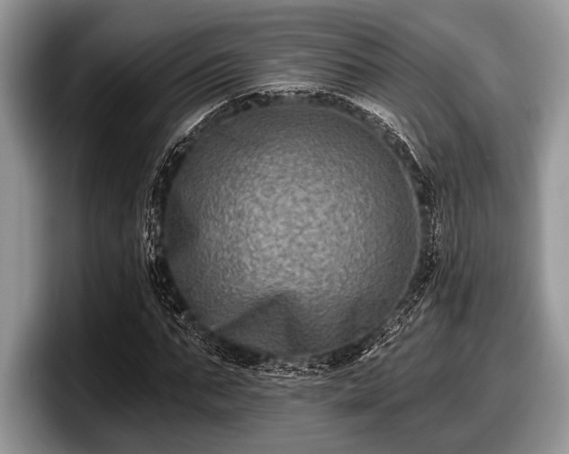 X0000097890871200803211353