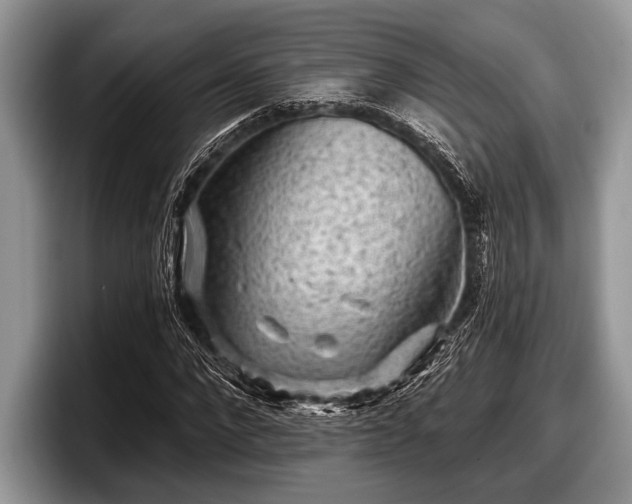 X0000097890872200803211353